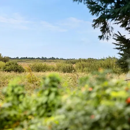 2 Bedroom Stunning In Romo Lakolk